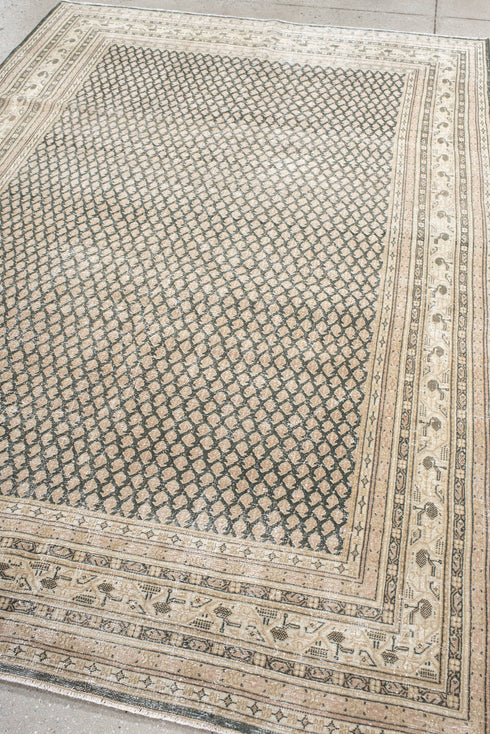Antique Mir Area Rug (6' x 9')